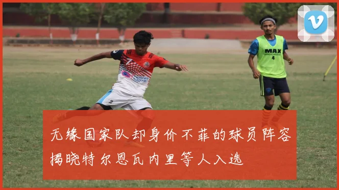 无缘国家队却身价不菲的球员阵容揭晓特尔恩瓦内里等人入选