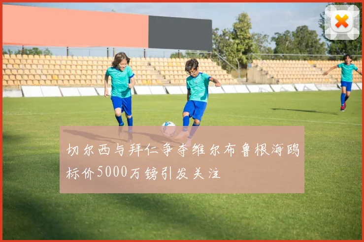 切尔西与拜仁争夺维尔布鲁根海鸥标价5000万镑引发关注