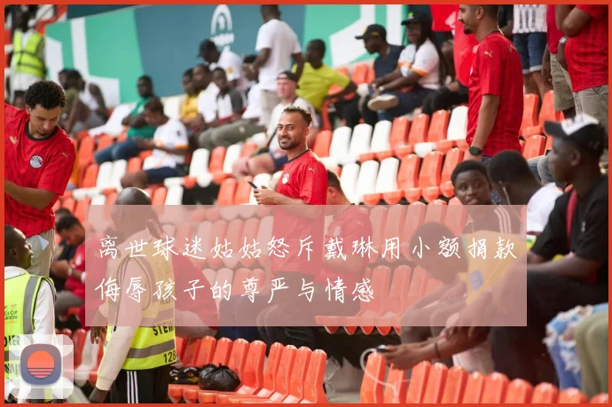离世球迷姑姑怒斥戴琳用小额捐款侮辱孩子的尊严与情感