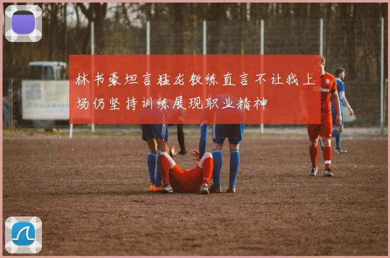 林书豪坦言猛龙教练直言不让我上场仍坚持训练展现职业精神