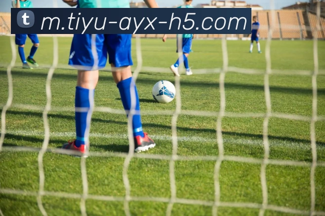 爱游戏发展历程